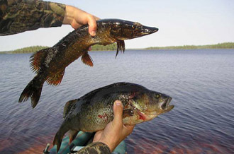 Рыбалка в Весьегонске